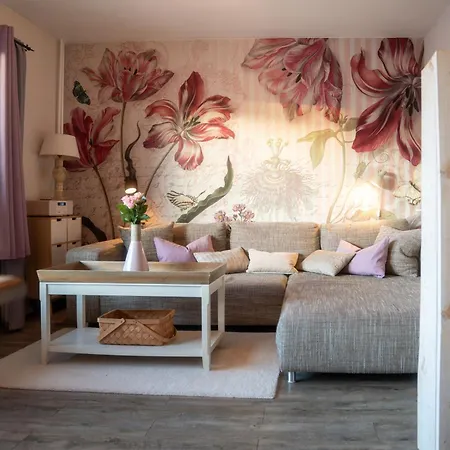 公寓 Bergliebe 布劳恩拉格